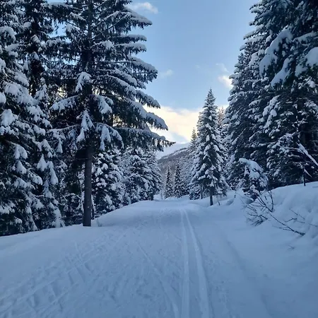 Cozy In Tromsdalen